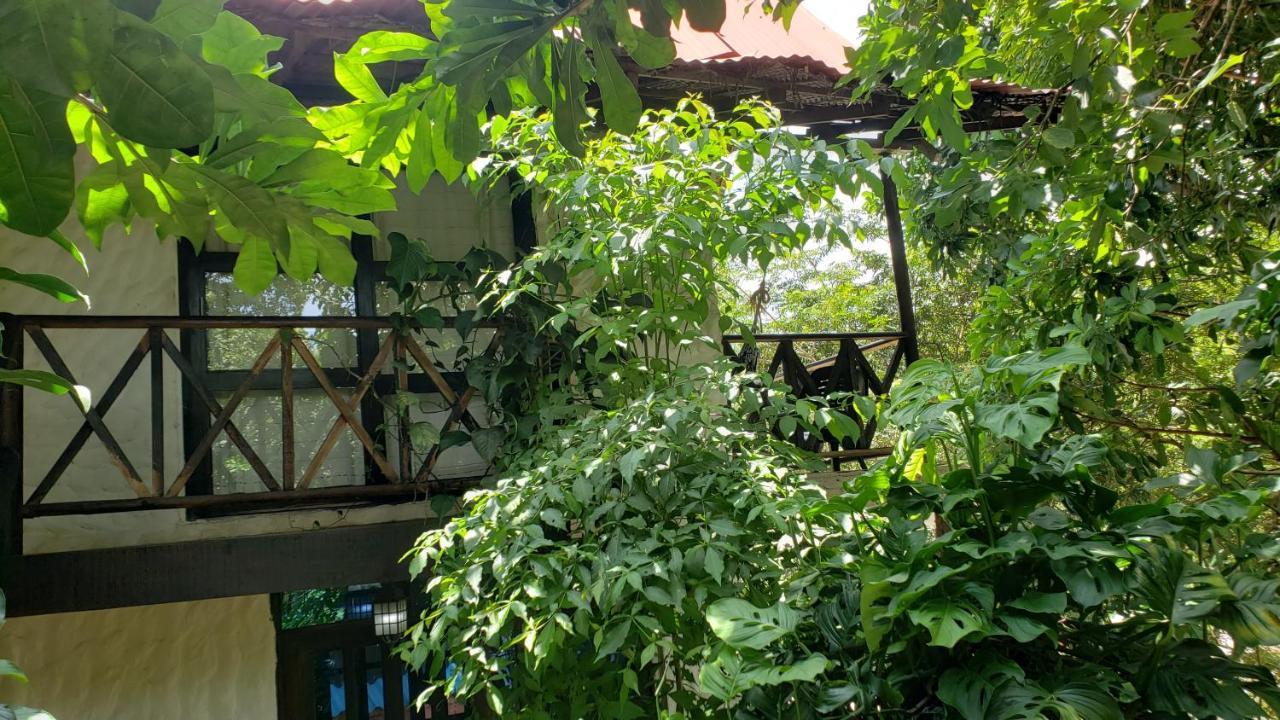Kankui Lodge الزينو المظهر الخارجي الصورة
