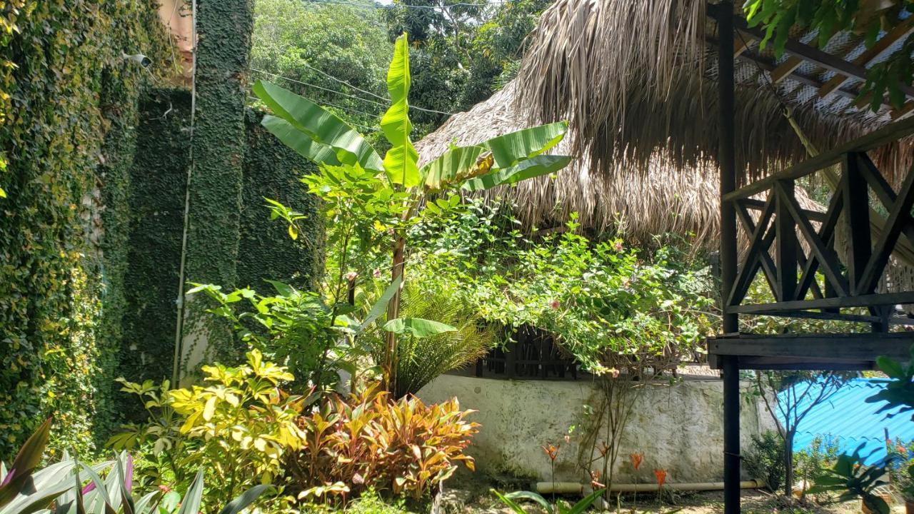 Kankui Lodge الزينو المظهر الخارجي الصورة