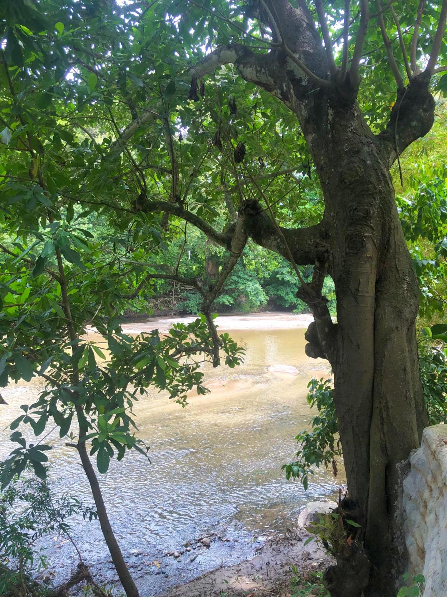 Kankui Lodge الزينو المظهر الخارجي الصورة