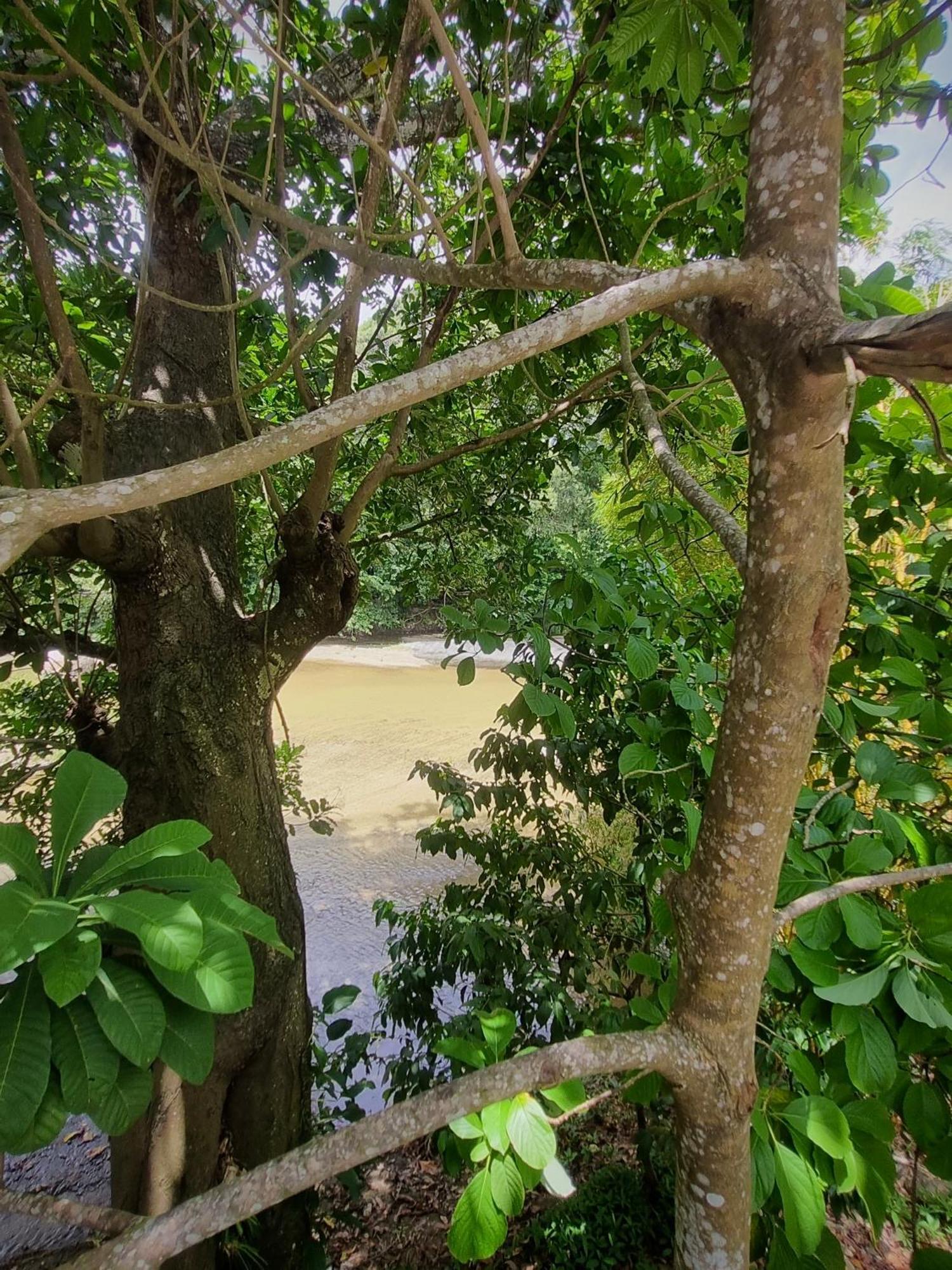 Kankui Lodge الزينو المظهر الخارجي الصورة