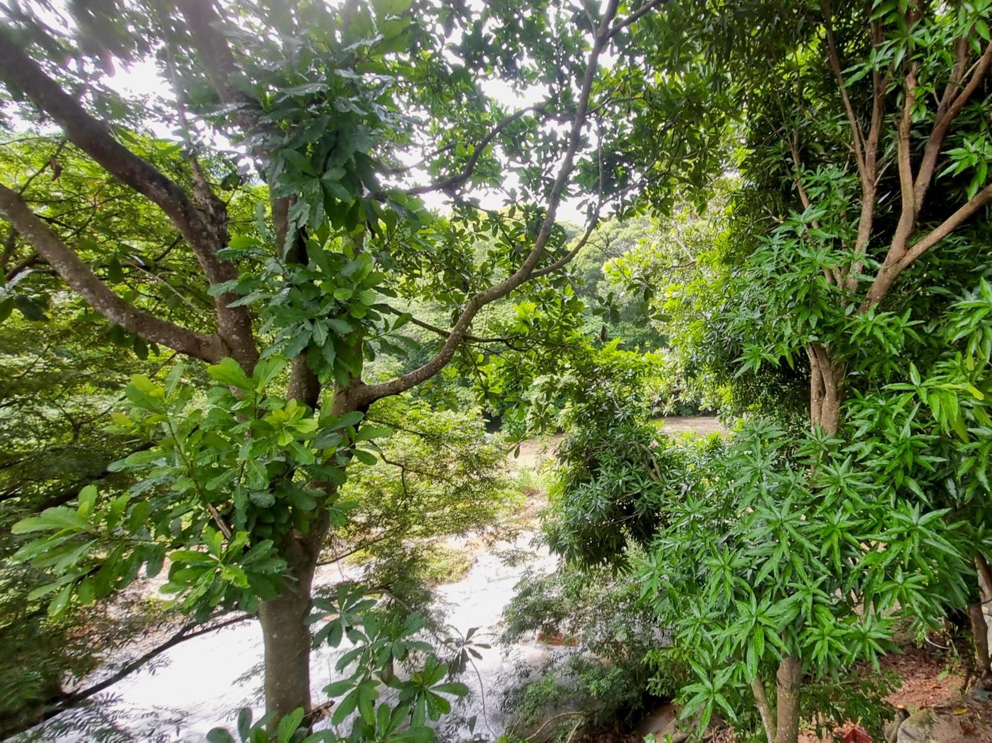 Kankui Lodge الزينو المظهر الخارجي الصورة