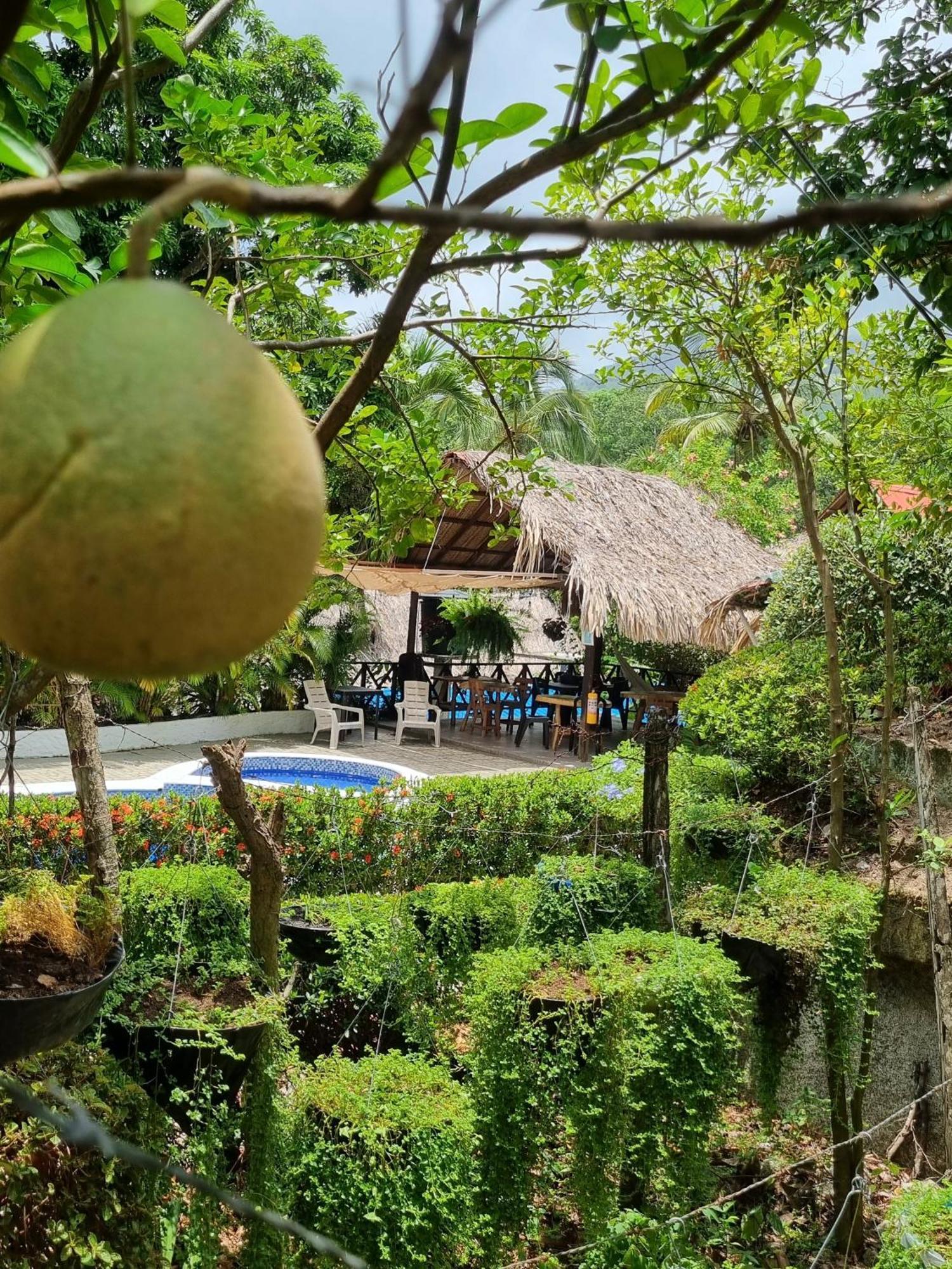 Kankui Lodge الزينو المظهر الخارجي الصورة