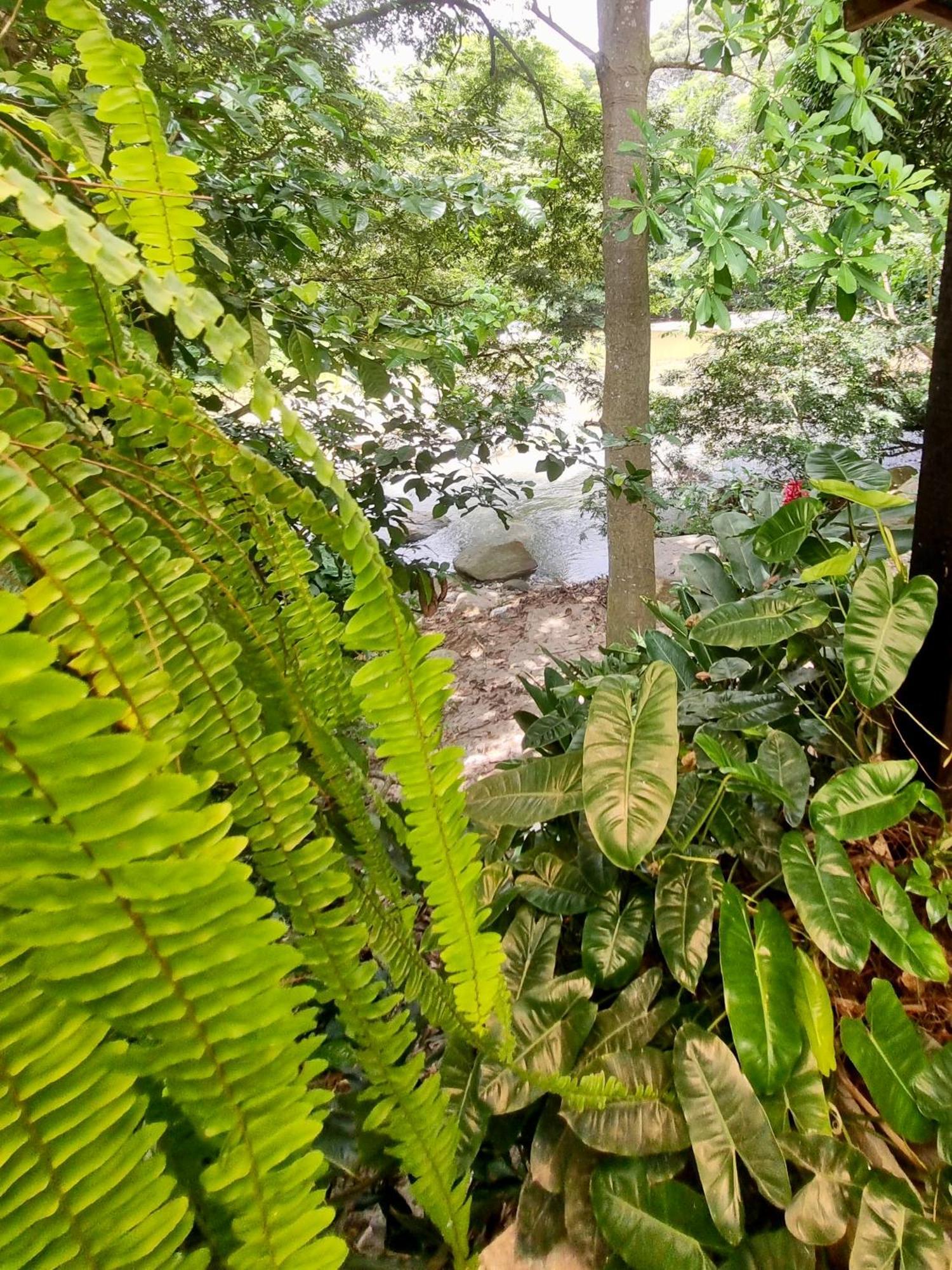 Kankui Lodge الزينو المظهر الخارجي الصورة