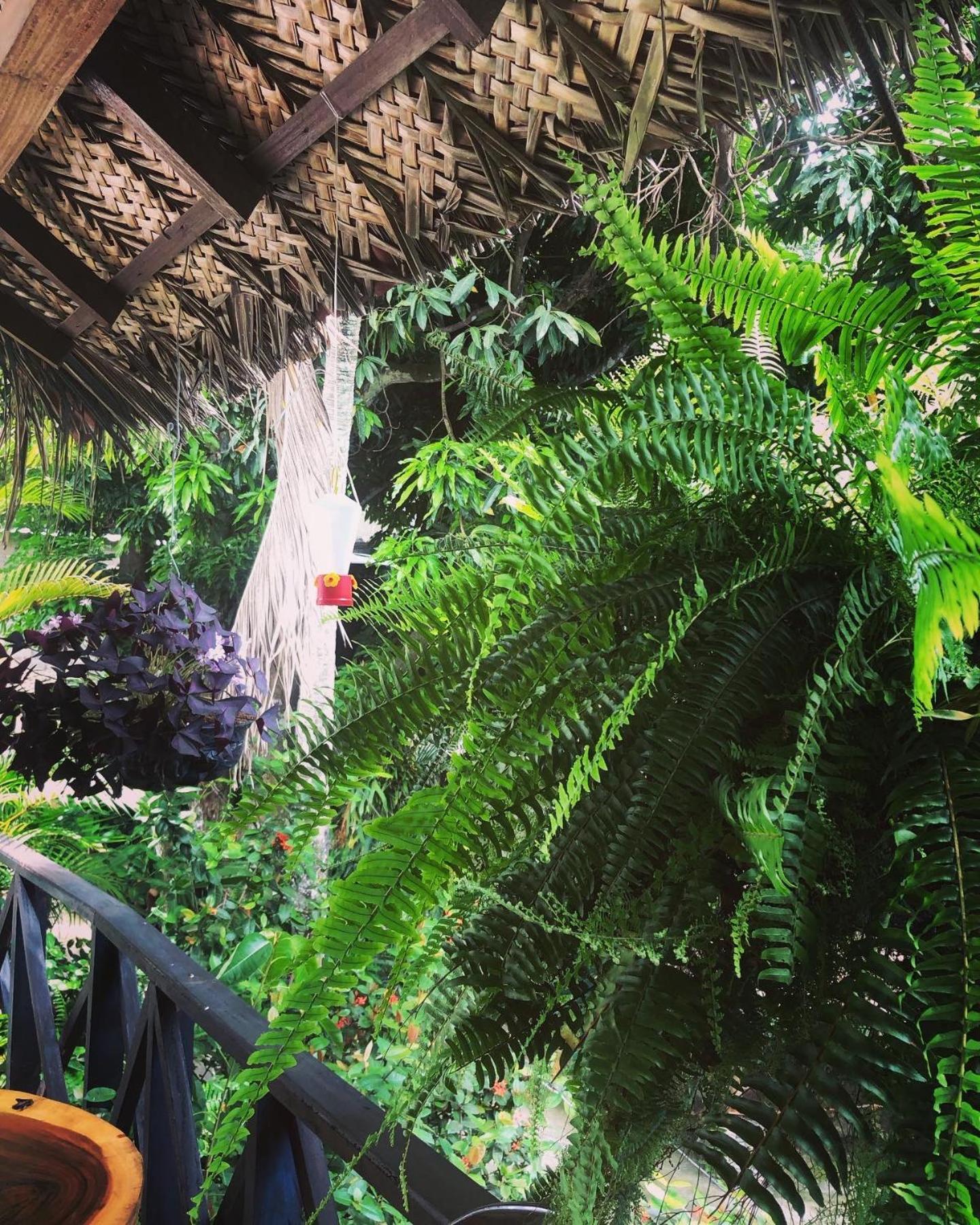 Kankui Lodge الزينو المظهر الخارجي الصورة