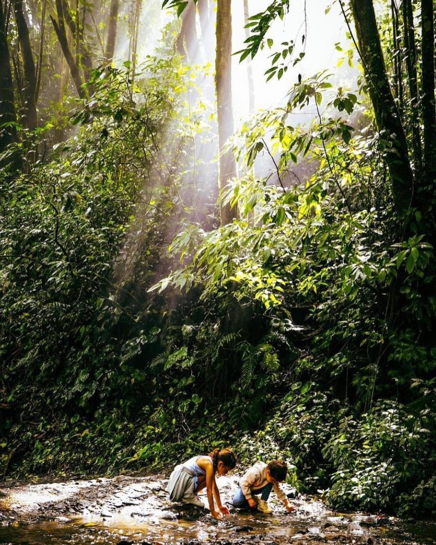 Kankui Lodge الزينو المظهر الخارجي الصورة
