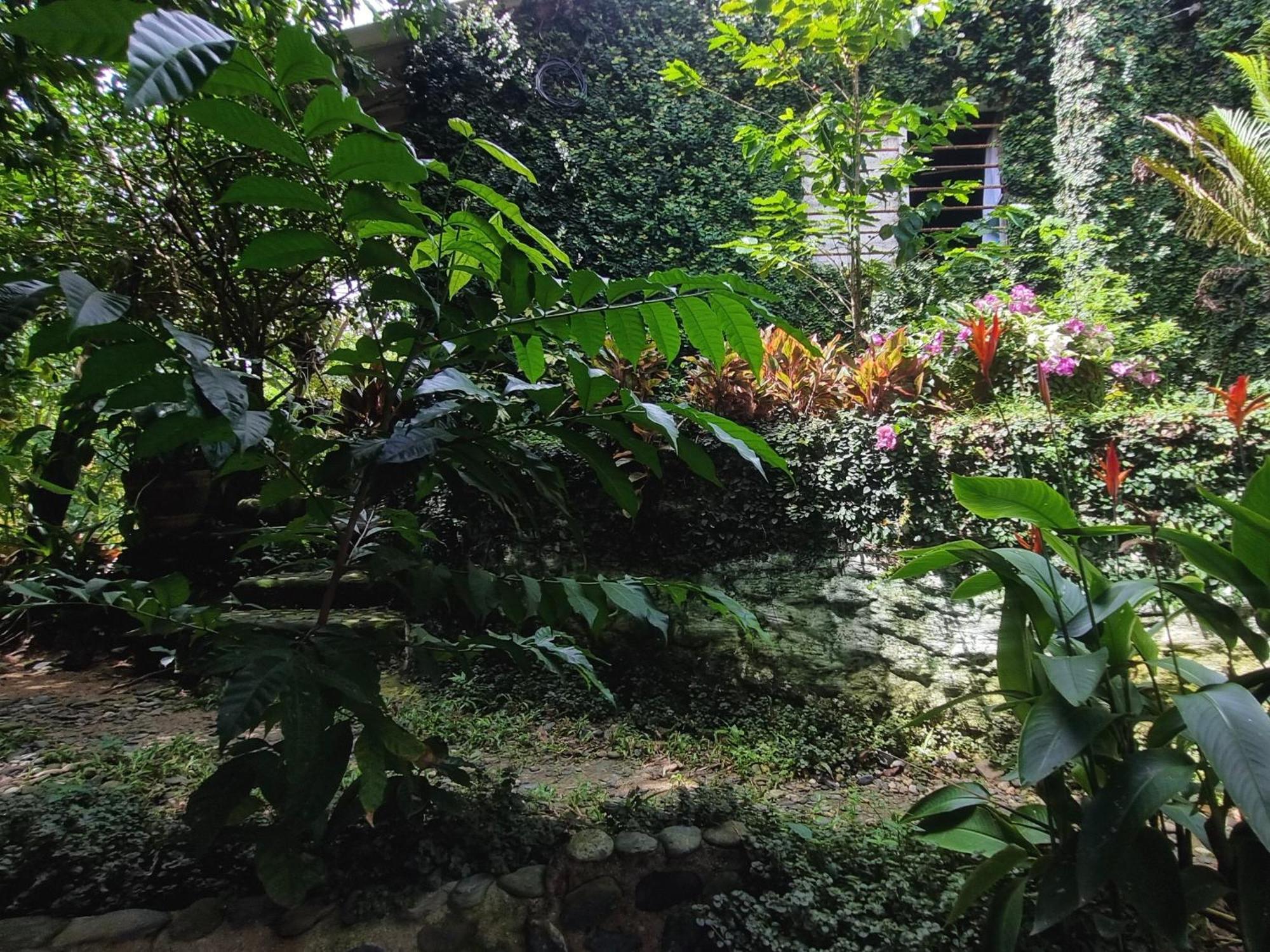 Kankui Lodge الزينو الغرفة الصورة