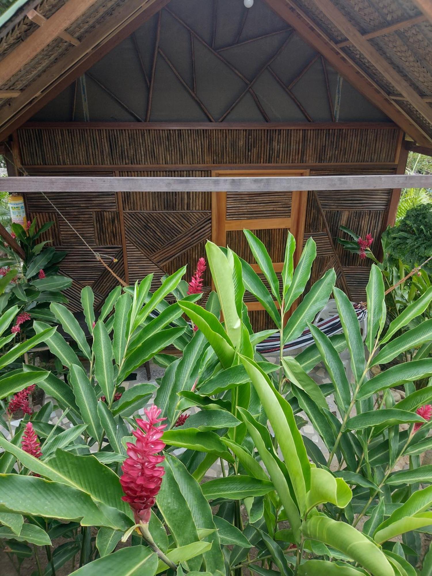 Kankui Lodge الزينو المظهر الخارجي الصورة