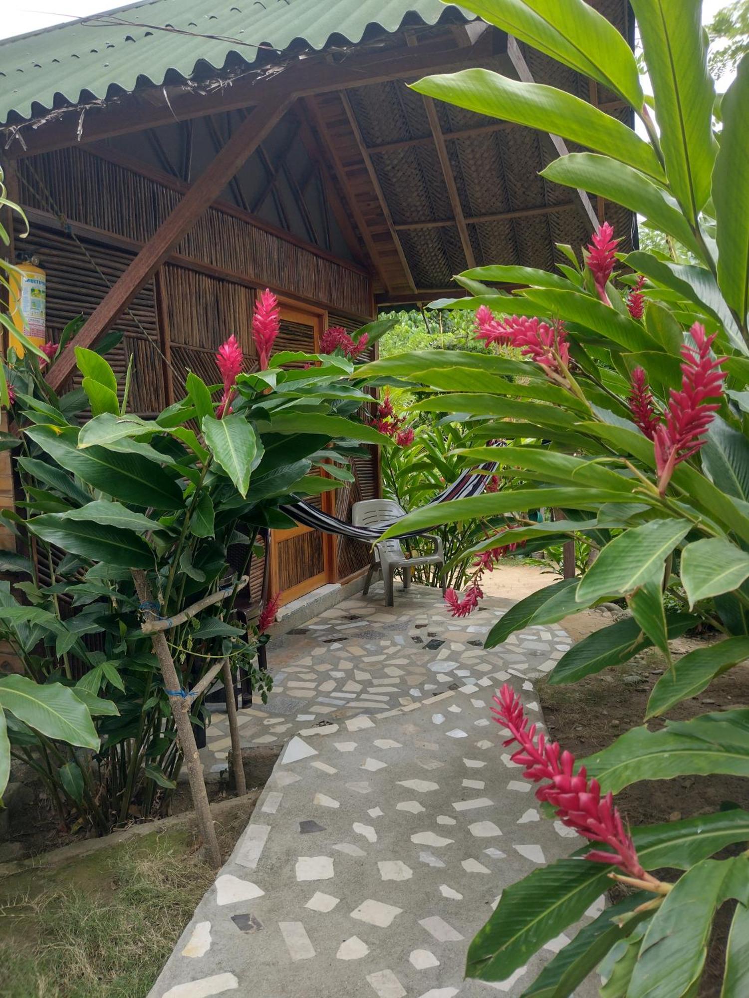 Kankui Lodge الزينو المظهر الخارجي الصورة