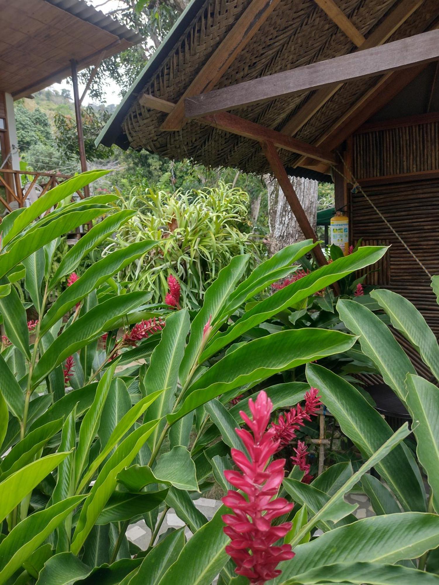 Kankui Lodge الزينو المظهر الخارجي الصورة